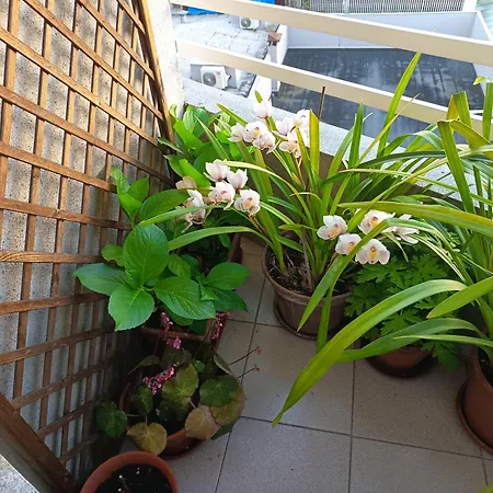 Vivienda Caseiro Διαμέρισμα *