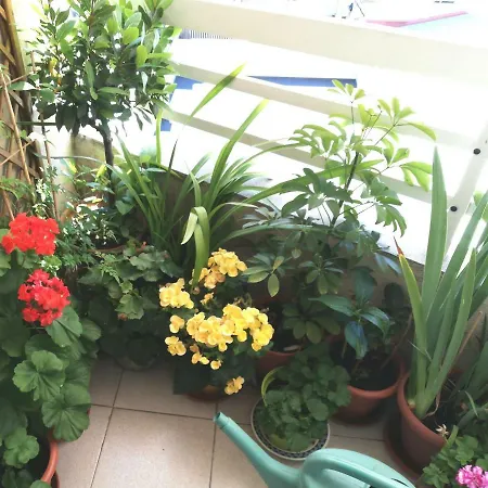 Vivienda Caseiro Apartment *