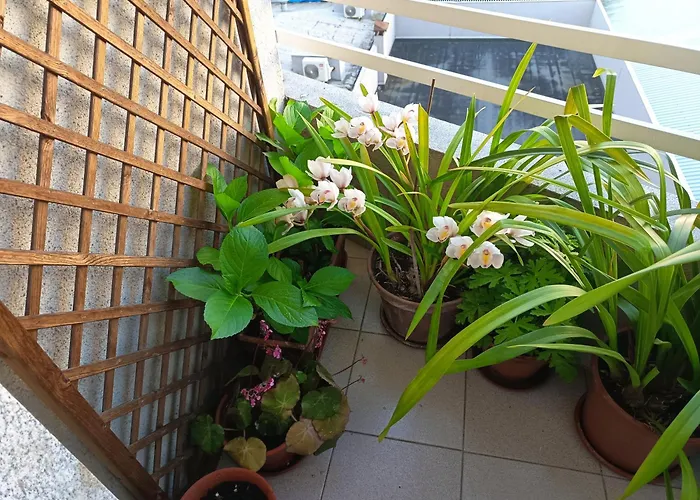 Vivienda Caseiro Appartamento *