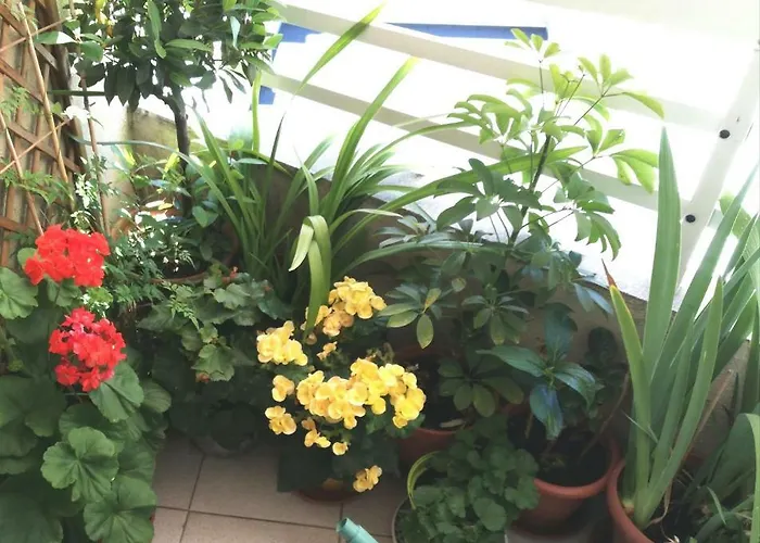 Vivienda Caseiro Appartamento *